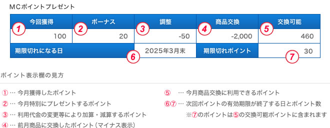クレジットカードご請求明細書のポイント表示欄